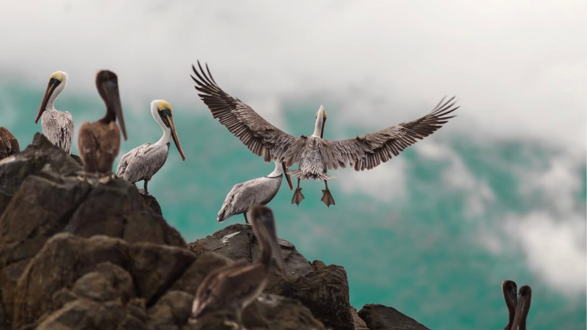 Camping expedition in Corcovado National Park